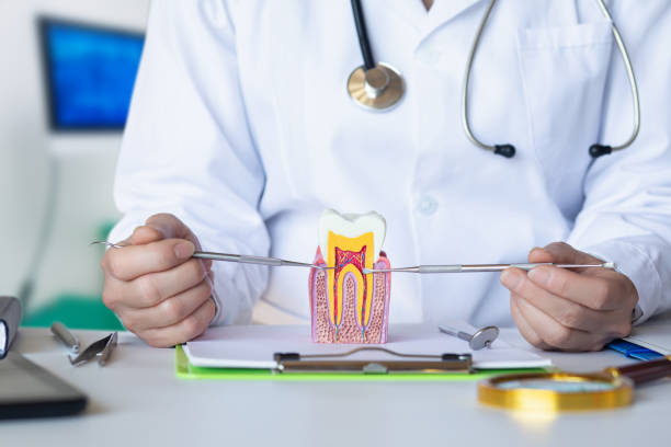 Best Emergency Denture Repair in Stanton, TX